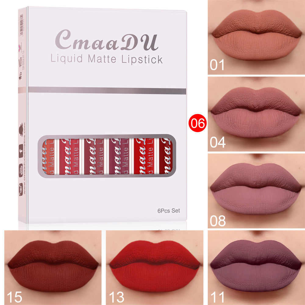 Matte Waterproof Lipstick Long Lasting (6 boxes to choose from)