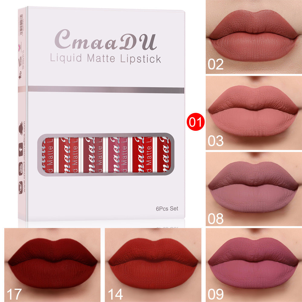 Matte Waterproof Lipstick Long Lasting (6 boxes to choose from)